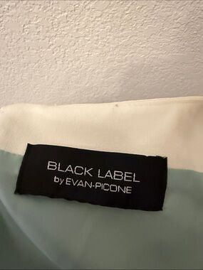 Black Label White and Light Seafoam Colorblock Sleeveless Dress